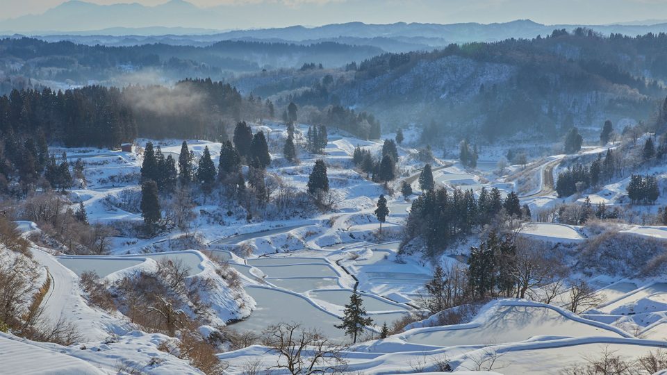 Кадр 00022